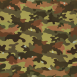 Camouflage 10