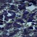 Camouflage 2
