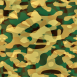 Camouflage 5