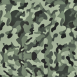 Camouflage 9