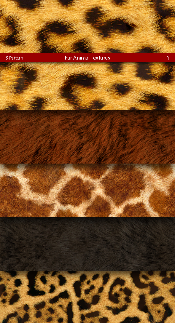 Fur Animal Patterns