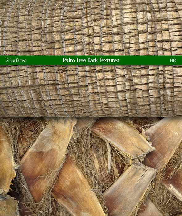 Palm Tree Bark Surfaces